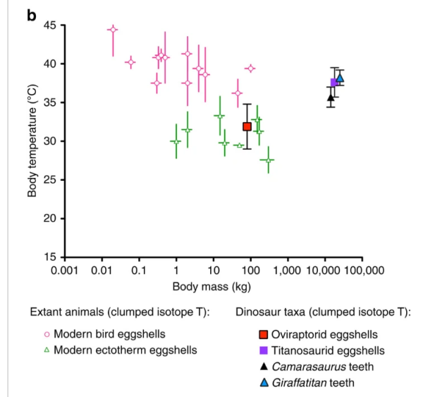 6bbe33529cad94498c2b435465099e71