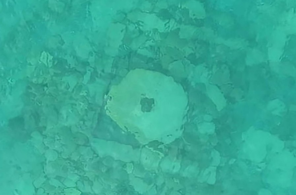 В Кыргызстане на дне озера Иссык-Куль обнаружили древнее поселение В Кыргызстане на дне озера Иссык-Куль обнаружили древнее поселение