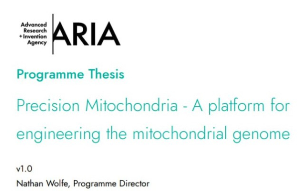 6e2b93dc936831cbd040bece8ff283c6