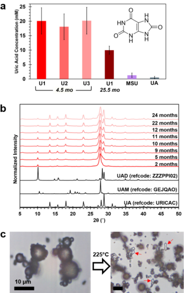 Туалетные манеры змей: метастабильные микросферы мочевой кислоты 4 73addc49a3473fd2bfe10cebae8fc535