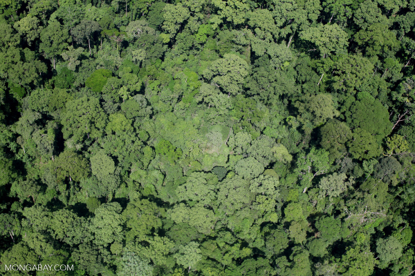 75ce4bd2969282eba8ddc65eccd1f8df