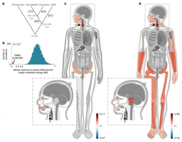 77c5375c3e8d16a9d48ee7d6da6a4ced