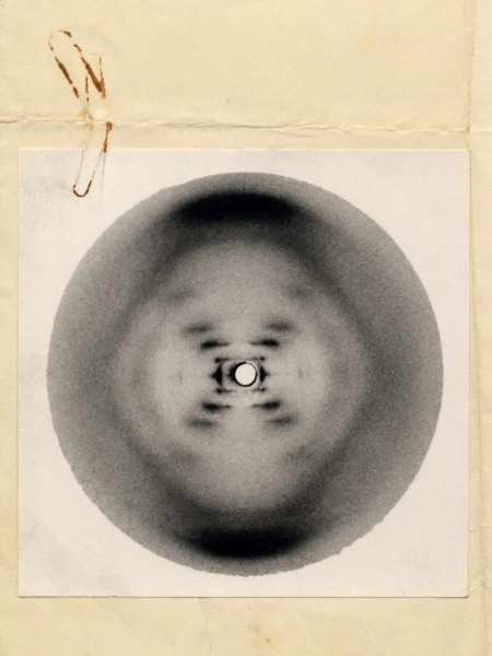 ДНК-спираль изменила наше представление о себе 3 81ca31804c63da6071836ae0d0b303a7.webp