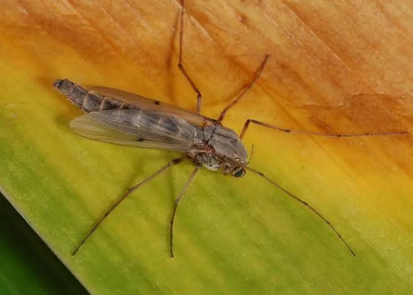 82d4d4dddc80a1403012d0d06f2aed90