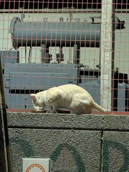 84064c23590c7522d969e5cbd9c586be