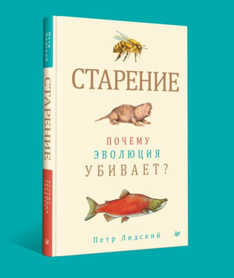 Возрастные ограничения: 18+ Старение —&hellip;