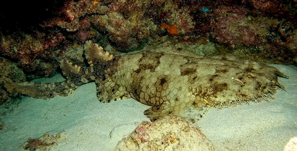 8a40f37b7a7fa536d8671260160fb7ab