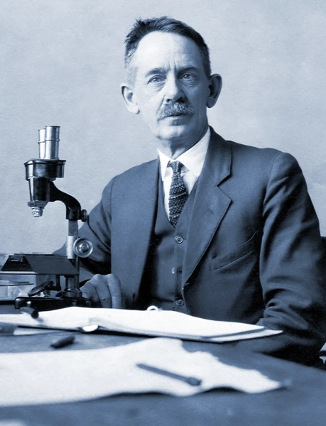 Что может запомнить клетка? 3 В 1906 году эксперименты Герберта Спенсера Дженнингса показали, что одноклеточный реснитчатый организм Stentor roeselii способен к обучению — он «изменился под влиянием пережитого опыта», как написал Дженнингс