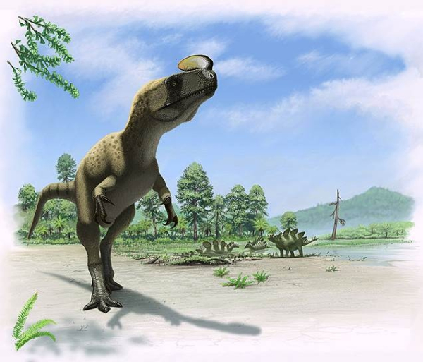 8c4f61fb70c9a49deabdb02ad59699c2