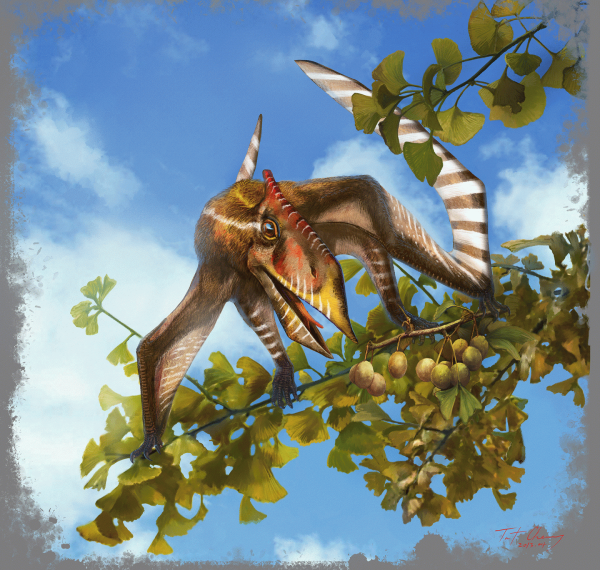 8cfbbe25ab17e5140bccc2ab1f65d507