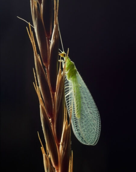 Вселенная под ногами: Невероятные факты&hellip;