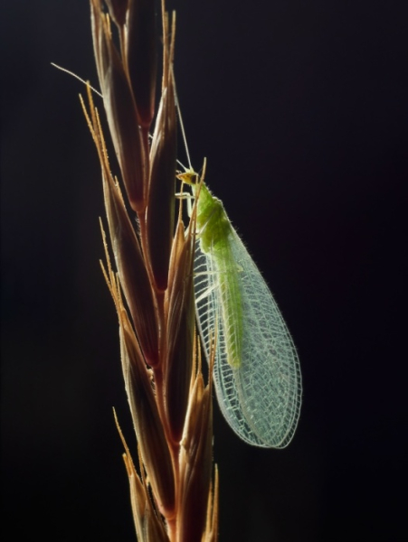 Вселенная под ногами: Невероятные факты из мира, который мы не замечаем 7 910069a805f936494282deb185afeadb.jpg