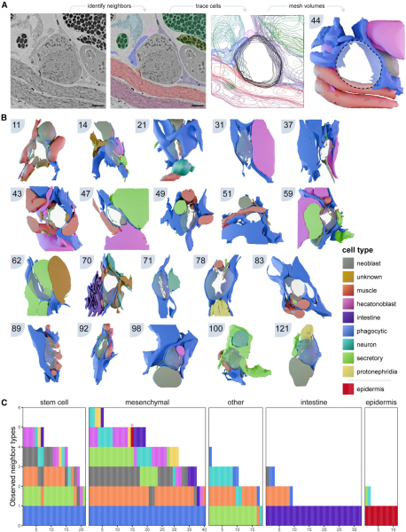938234ab2cbf0676565337ac11a16108