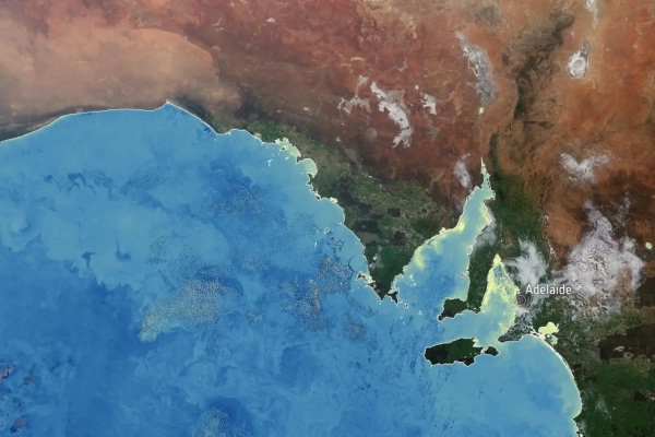 93a5219399aa981feafd55c36e211b88