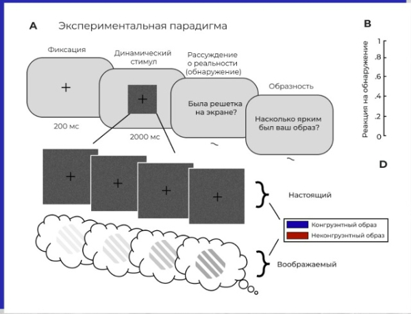 Недавно был найден «детектор реальности»&hellip;