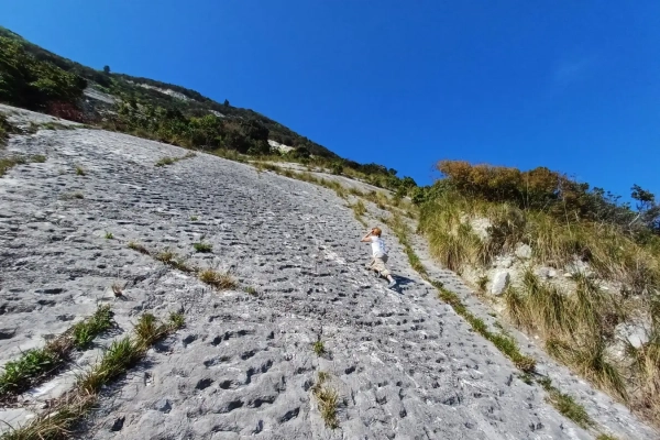 Древние следы могут свидетельствовать о бегстве черепах, потревоженных землетрясением 3 9a48a8e9eba0074a7a7af3e0eec05f5d.jpg