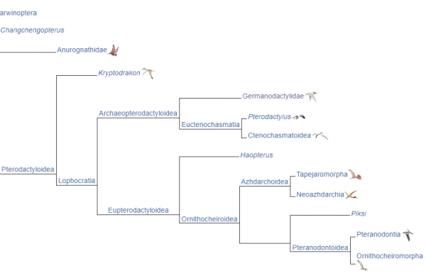 9a77817199ee2ba97370b4e9425ad985