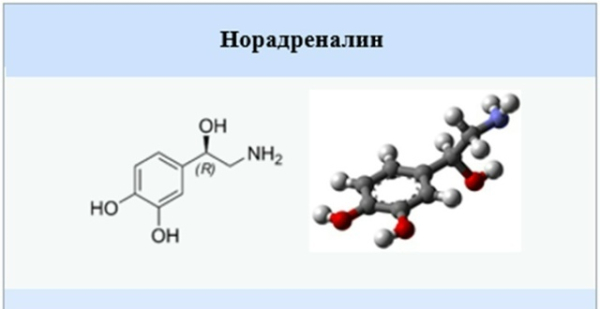 Чем отличается психология человека, лежащего&hellip;