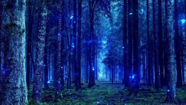 Неконтролируемый инсульт жопы