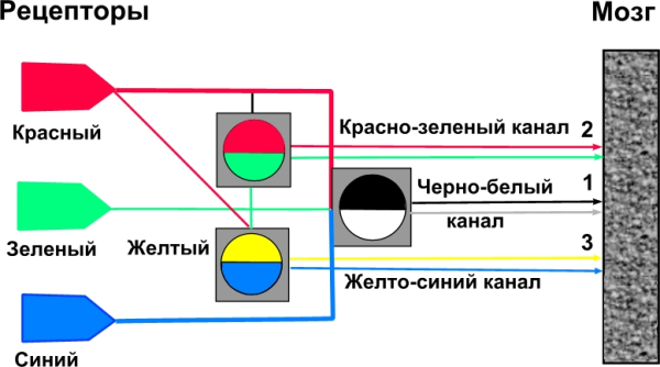 9ff4ebb1beeaf8d8d49d86e7c7f7333c