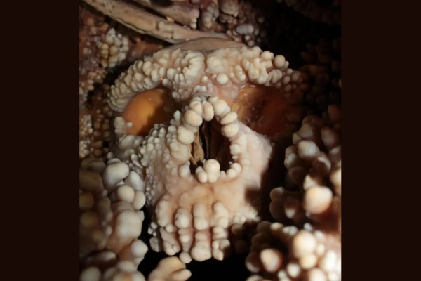 a04bcd69eaa6da247d02153022b5e989