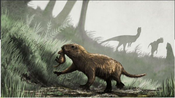 Kayentatherium  