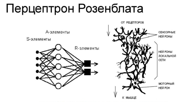 a7444defc26d85bf9f528df5675b0ac5