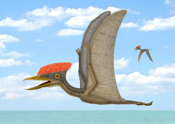 a7cca46f42be98896cba20469241d1bd