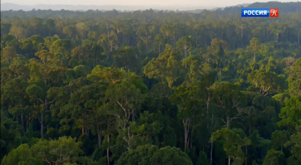 a91603929a7eb657452aba167f47a475