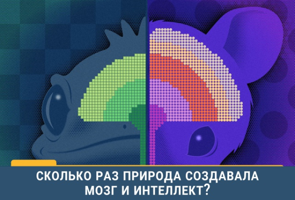 Сложный мозг — это не&hellip;