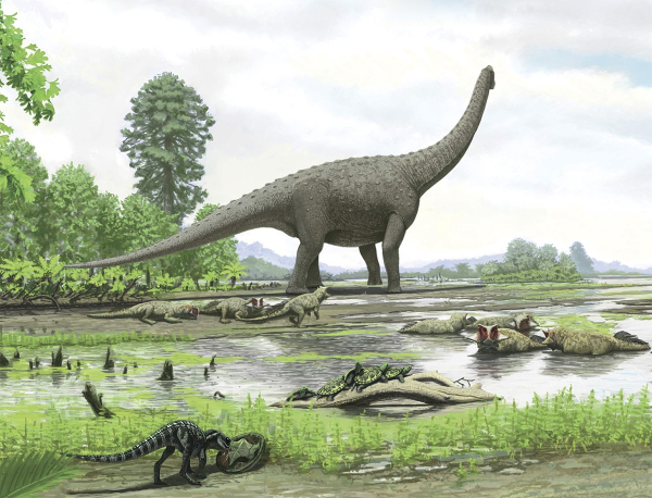 ac292380d0d29724bdbbf55c3fe4fbbe