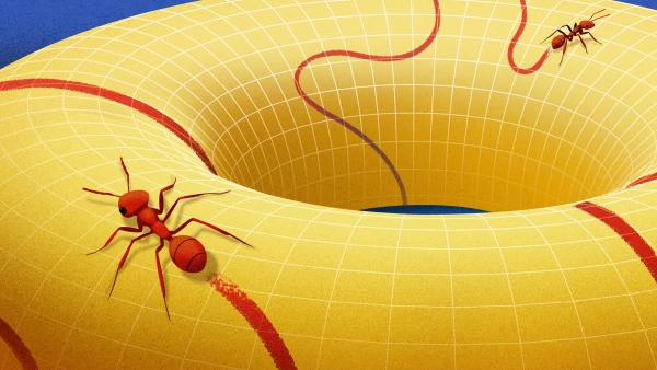 Что такое многообразие?