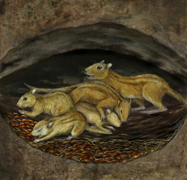 c5e9925769850820ffeee889cb2f7062