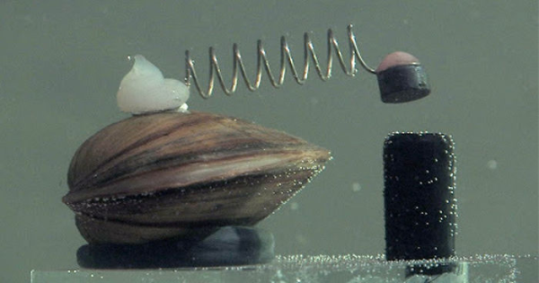 Если в кране нет воды…&hellip;