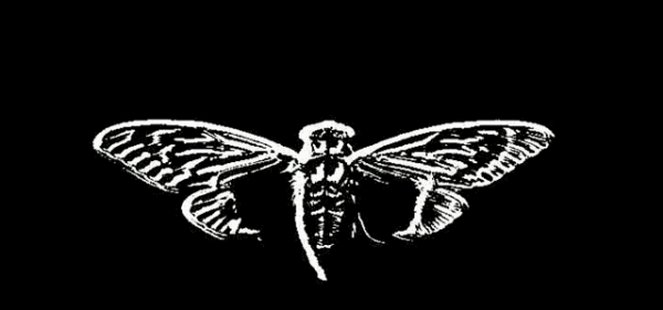 Вероятный автор загадки Cicada 3301