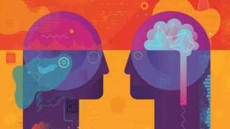 Две абстрактные головы смотрят друг на друга. Есть компьютерный мозг, а в другой-настоящий человеческий мозг.