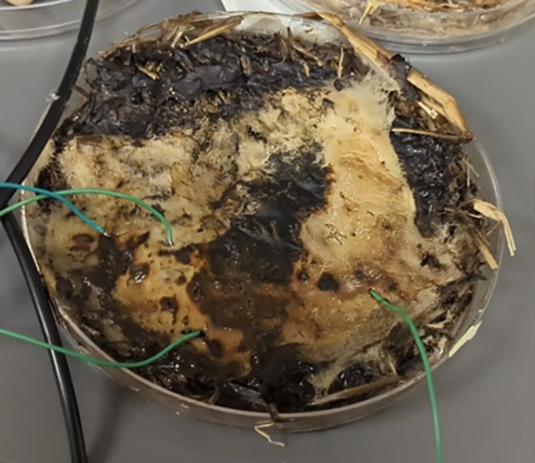 c9a39f3e8001dbb170b29cfc7ce8eadc