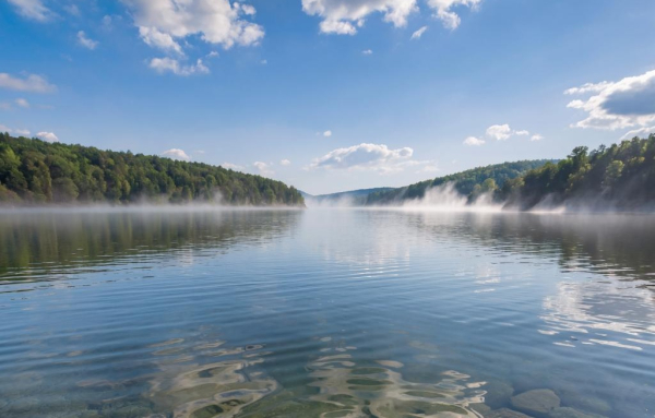 Исследователи установили причину странных звуков&hellip;