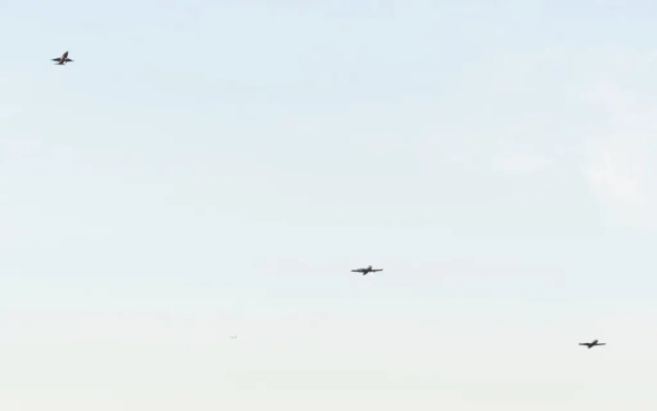 cc510e900061d9e629e276c39cbf4af8