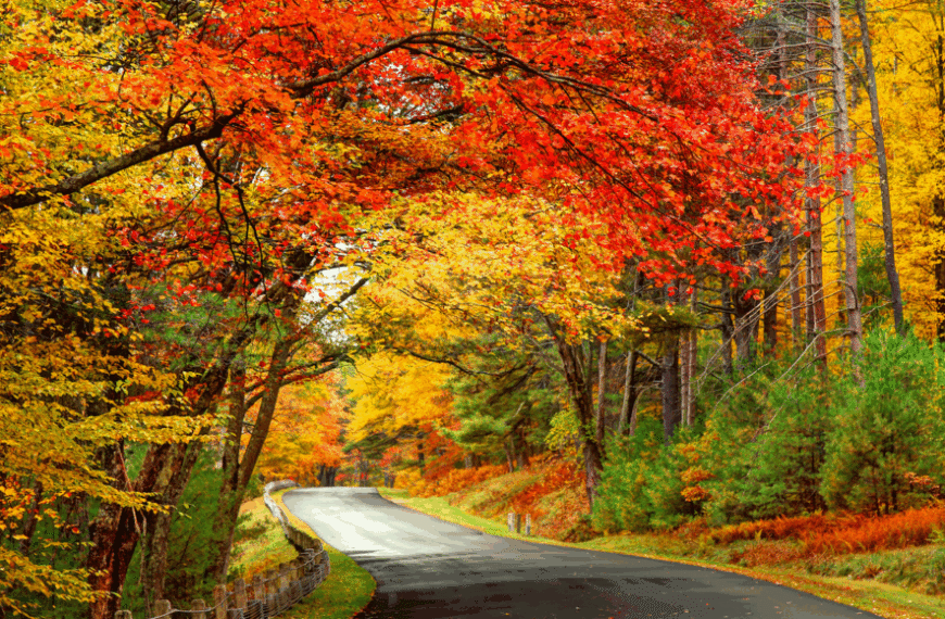 Давайте узнаем больше об осенних&hellip;