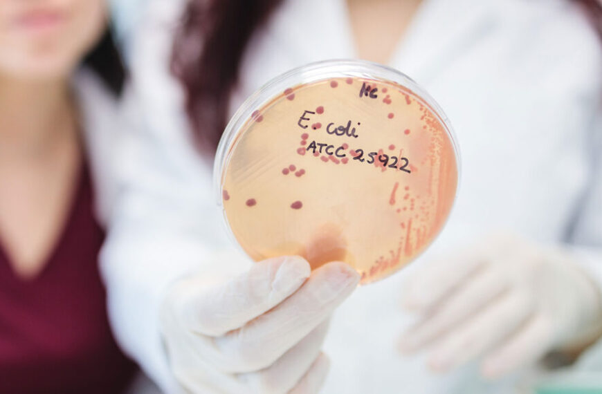 Ученые утверждают: Микроцин