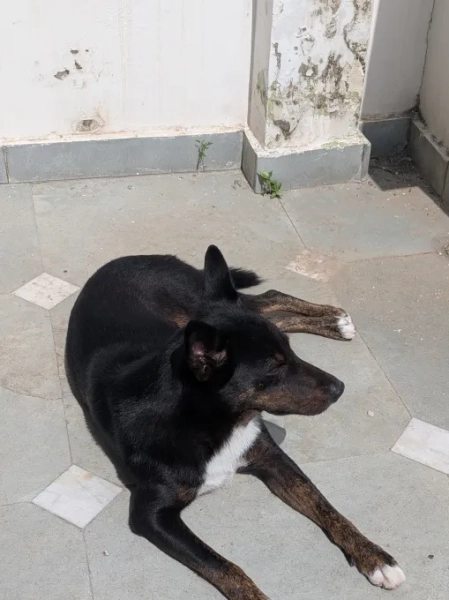 d31668a387faf8ed3c23fc9d7c49ba8e