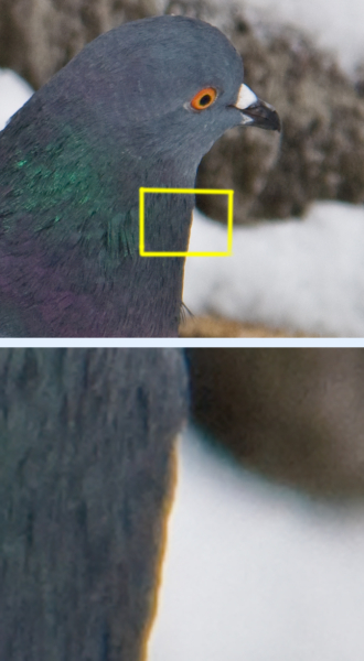 George Shuklin George Shuklin