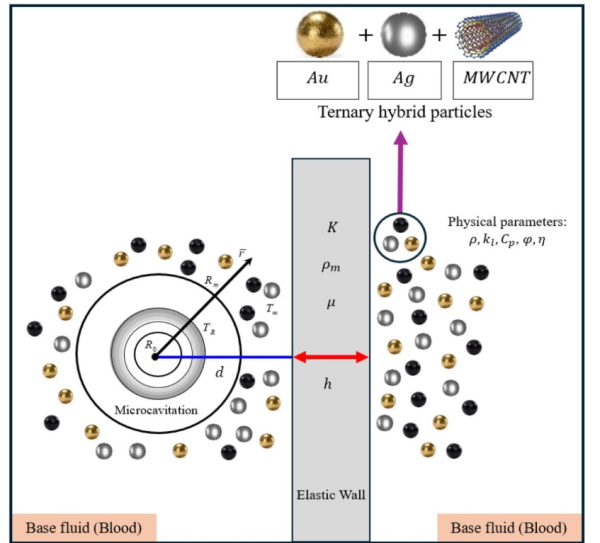Рисунок 2. Схема динамики микрокавитации в тройной гибридной жидкости вблизи упругой стенки. Источник: Results in Engineering. Рисунок 2. Схема динамики микрокавитации в тройной гибридной жидкости вблизи упругой стенки. Источник: Results in Engineering.