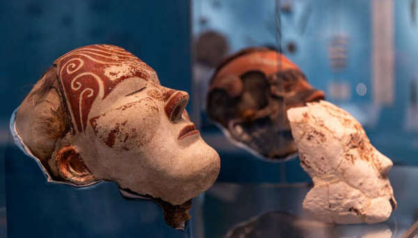 Палеогенетика и историческая генетика. Что&hellip;