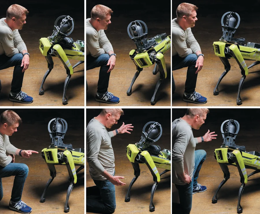 человек и робот Levatas собак