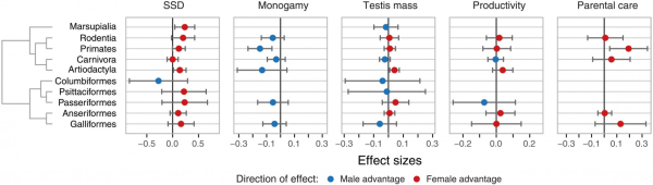 d824105740b5da0b95074408db76c127