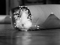 Сила оттенков серого: компьютерное зрение с нуля 6 FAST keypoints detection