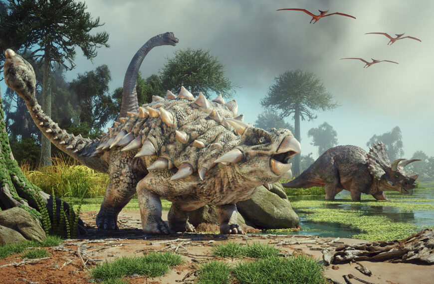 Динозавры. Когда, где и как&hellip;