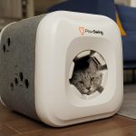 domik-pawswing-neo-1